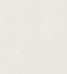 Бежевые обои в прихожую Bernardo Bartalucci Gaga  84284-1