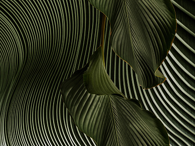 Фотообои GreenDay-21: 12, GREENDAY 21, Wall street